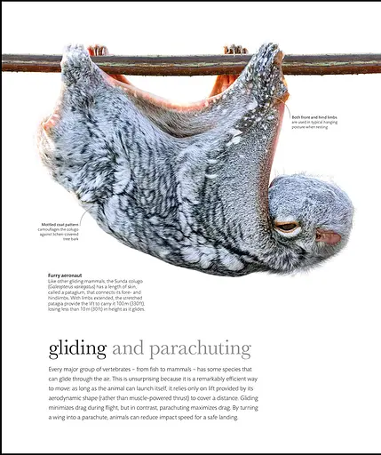 The Science of Animals - фото 5