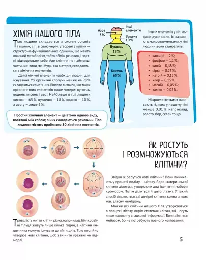 Тіло людини - фото 5