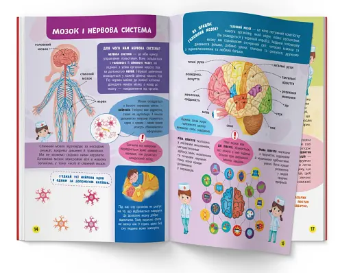 Школа сучасного чомусика. Моє тіло. 100 розвивальних наліпок - фото 4