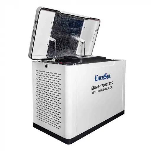 Генератор газовий EnerSol ENNG-17000SATS - фото 3