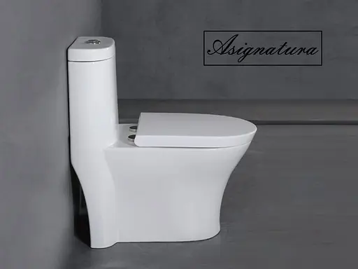 Унитаз-компакт c функцией пенообразования Asignatura Advance 95802505 с сидением Soft Close, Белый - фото 6