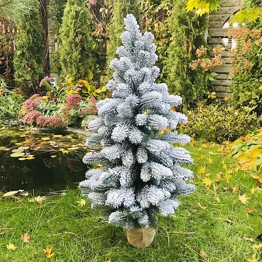 Ялинка Hvoya Premium лита в мішковині 90 см засніжена - фото 3