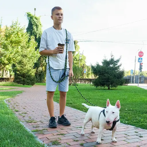 Поводок для собак Barksi Свободные руки светоотражающий 240х0.9 см черно-салатовый - фото 7