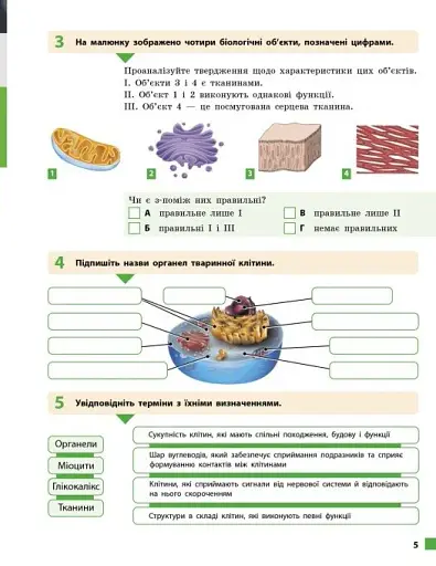 Біологія. 8 клас. Робочий зошит до підручника Ольги Тагліної - фото 6