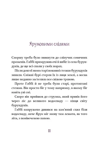 Дивовижний друг. У Долині Вовків - фото 9