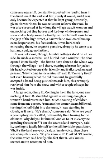 The Castle - фото 10