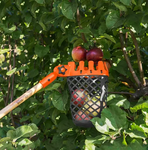 Плодосъемник Bradas V-SERIES-P корзина, без древка KT-V1532H - фото 3