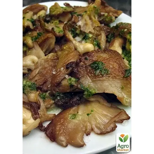 Сухий зерновий міцелій "Сироїжка" 10г (45506) - фото 2