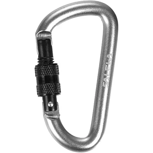 Брелок Salewa D-Shape Carbiner with screw (1054-013.003.1434)