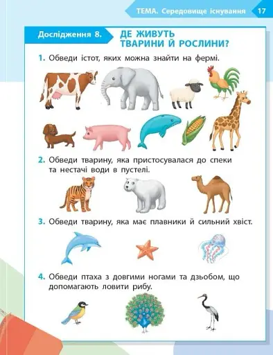 STEM-Старт. Зошит для учня. Наука про життя. 1 клас - фото 10