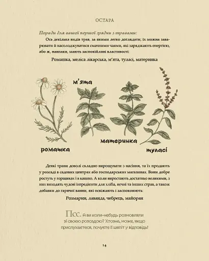 Колесо року. Ілюстрований путівник ритмами природи - фото 10