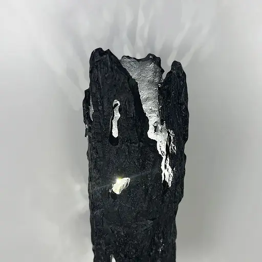 Оригінальне бра у вигляді кори дерева чорного кольору 34х10 см Арт. WS051/2 BK Line F - фото 4