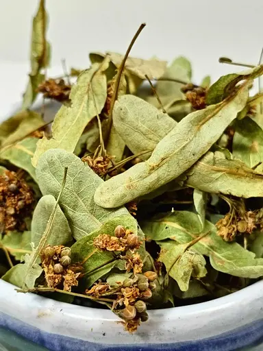 Сушена липа 25г - фото 2