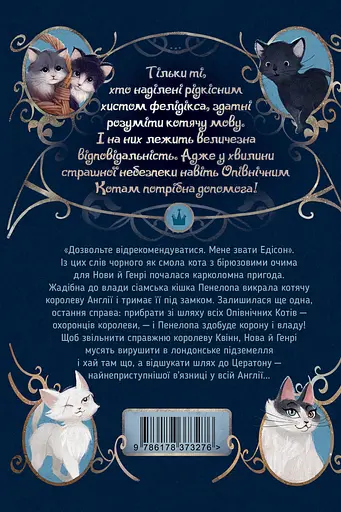 Опівнічні коти. Школа фелідіксів - Барбара Лабан - фото 2