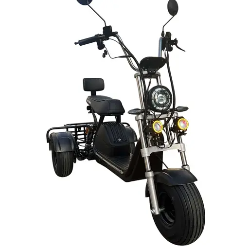 Трехколесный ситикоко EVOBIKE Grizzly X3 Pro с грузкой корзиной - фото 1