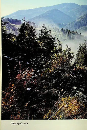 Сама. 2300 кілометрів через усі Карпати - фото 12