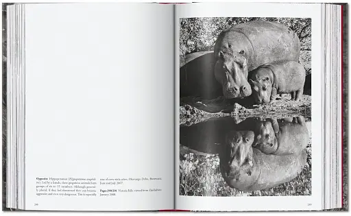 Sebastiao Salgado. Genesis. 45th Edition - фото 15