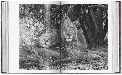 Sebastiao Salgado. Genesis. 45th Edition - фото 14