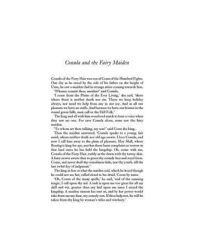 Irish Fairy Tales - фото 6