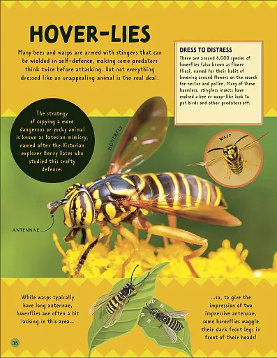 How Not to Get Eaten - фото 11