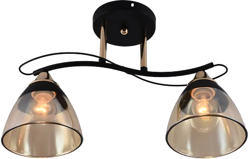 Люстра декоративна V XA1248B/2 Gold+Black на 2 плафонів