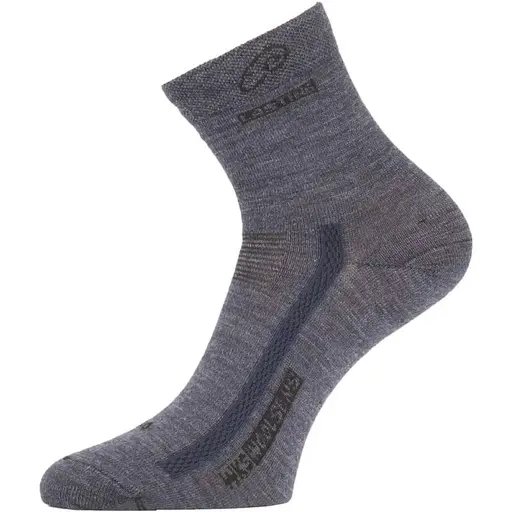 Носки Lasting WKS 504 Grey M (1054-002.003.3563)