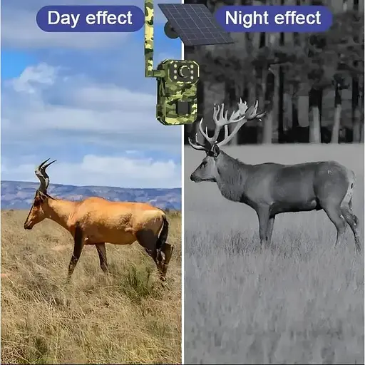 Камера для охоты Mosquitall на солнечной батарее A8S 4G, датчик движения, камуфляж - фото 4