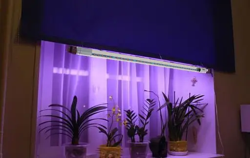 Фітолампа Brille для зростання та формування коренів LED E27, 12W Fito Grow Full Spectrum=9:1, 220 В - фото 9