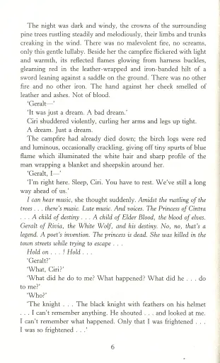 The Witcher. Blood of Elves - фото 5