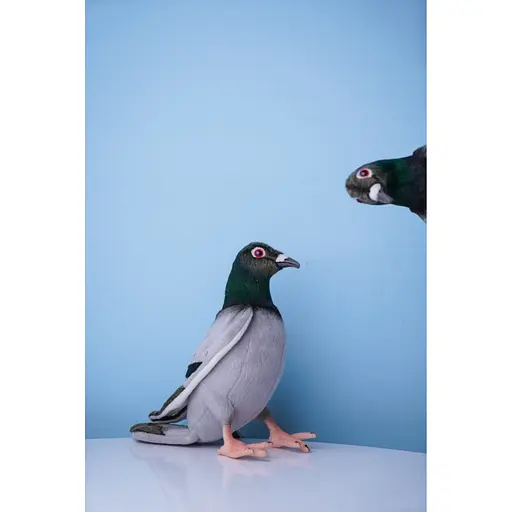 М'яка іграшка Hansa Голуб 29 см (6299) - фото 4