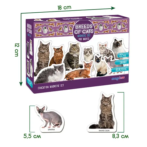 Набор магнитов Magdum "Породы кошек" ML4031-13 EN - фото 5