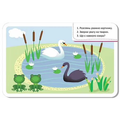 Детские развивающие карточки "Мир вокруг" 1664001, 20 карточек - фото 5