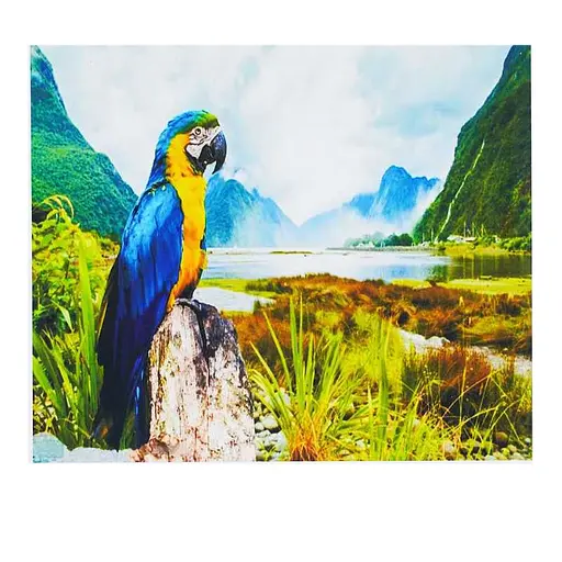 Картина по номерам "Папугай" HCEG 32046 TK Group, 40х30см, в коробке (6900066386633) - фото 1