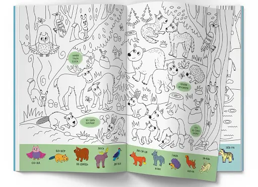 Віммельбух-розмальовка. Дикі тварини - фото 2