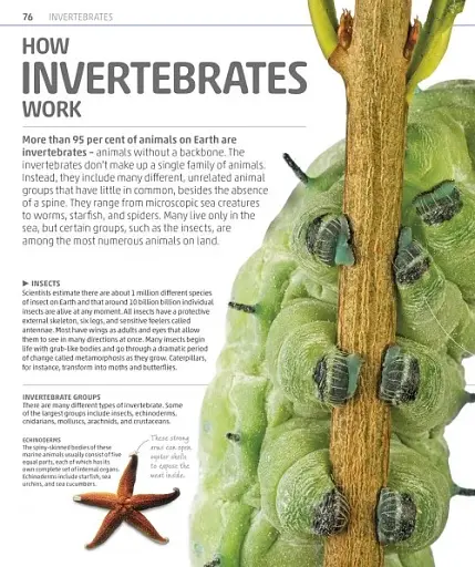 Explanatorium of Nature - фото 4