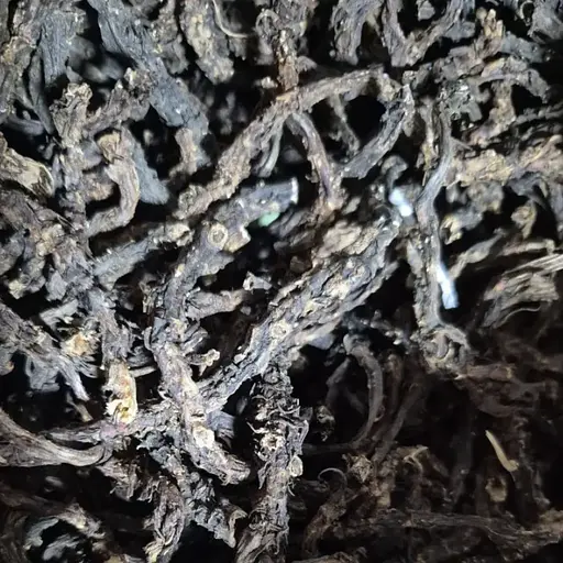 100 г гравілат річковий коріння сушене - свіжий урожай