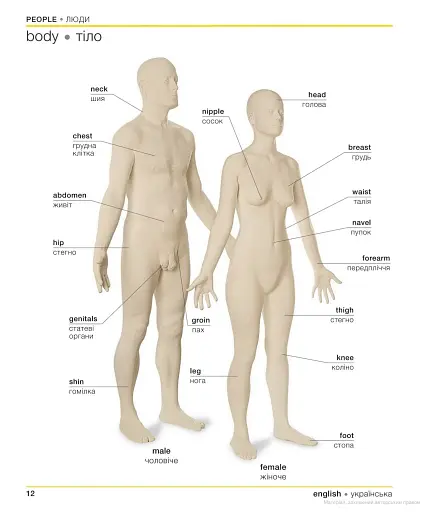 English Ukrainian Visual Bilingual Dictionary with FREE Audio APP - фото 6