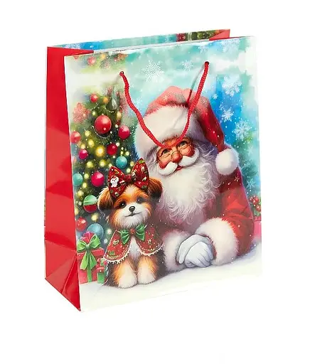 Пакет подарочный "Новый Год" 153-2 вертикальный 18*21,5*8 см, ручка-шнурок (6927661257724) Вид 1 - фото 1