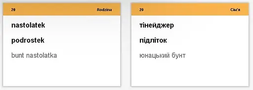 Настільна гра English Student Картки для вивчення розмовної польської мови English Student (укр.) (39122656) - фото 2