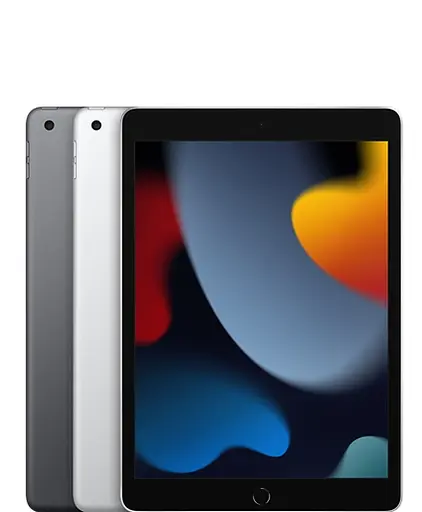 Планшет Apple iPad 10.2` (9 Gen) 256GB Wi-Fi + Cellular Silver 2021 (MK4H3) [60260] - фото 2