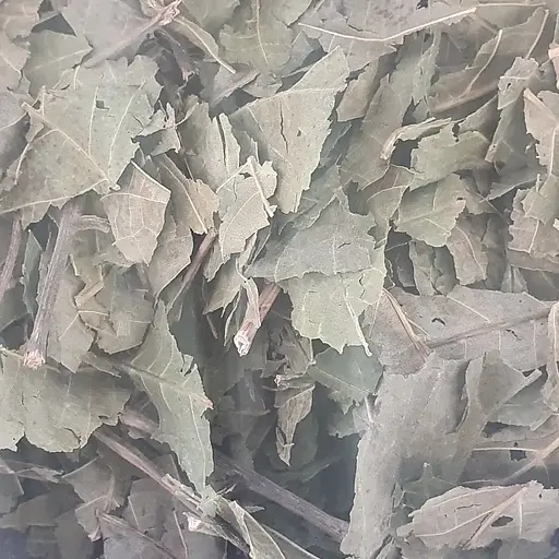 100 г волоський горіх листя сушене - свіжий урожай