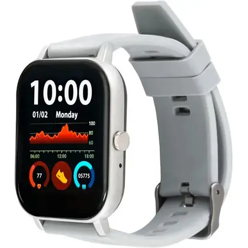 Smart Watch Amico GO FUN Pulseoximeter and Tonometer gray UA - фото 1