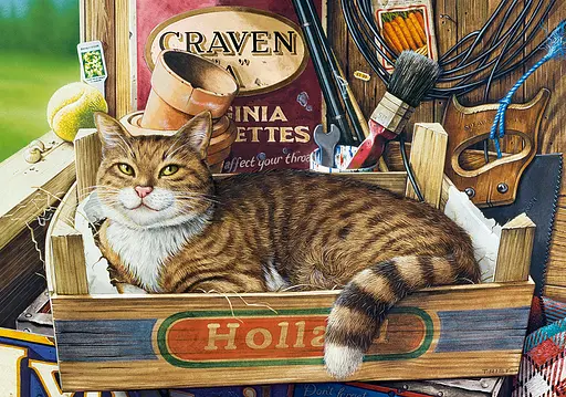 Пазли Castorland Кіт Фозергілл, 500 елементів, 47x33 см, B-53476