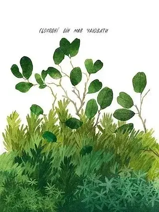 Туконі - мешканець лісу - фото 6