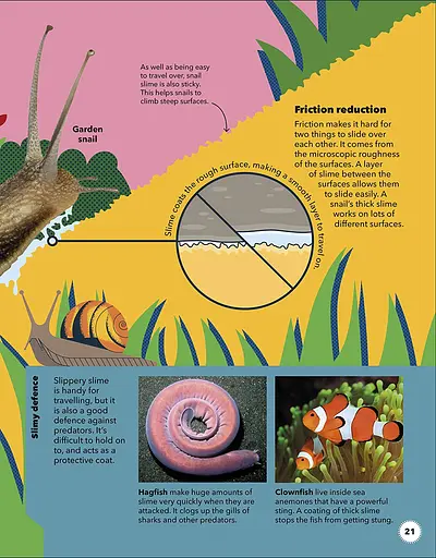 Wild Scientists - фото 5