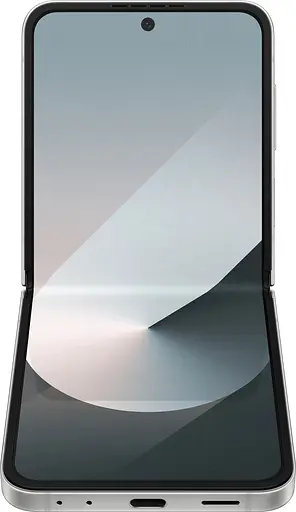 Мобільний телефон Samsung Flip 6 12/256GB Silver Shadow SM-F741U - фото 5