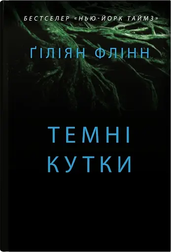 Темні кутки - Гіліян Флінн