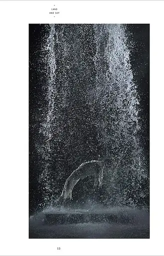 Symbols in Art - фото 12