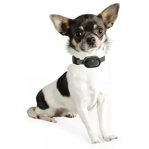 Електронний нашийник для маленьких собак Dobe DB900X дресирувальний з трьома видами впливу - фото 7
