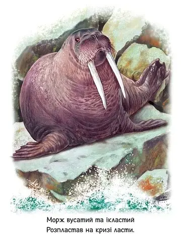 Малятам про звіряток. Тварини світу - фото 6